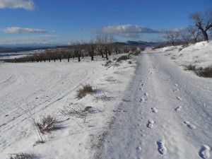 Camino nevado