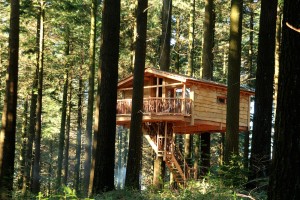 _cabanas-arboles-treehouses-1