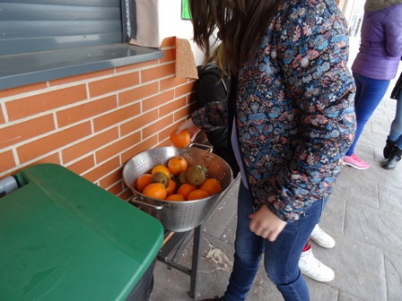 Todos los recreos, en el recreo del colegio de Murillo de Río Leza se reparten diversas frutas para todo el alumnado.