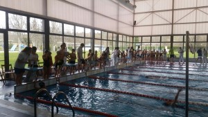 Campeonato de natación VII. INFILTRADOS