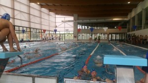 Campeonato de natación VI. INFILTRADOS