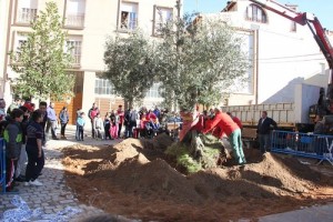 Jardineros de Arnedo plantan el olivo en la plaza de San José III. Fuente: Ayto. de Arnedo