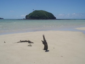 Islas Fidji (Yasawa Island): Fuente: Javier Pérez