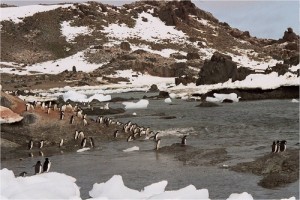 La Antártida. Fuente: Javier Pérez