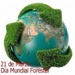 dia-forestal-mundial